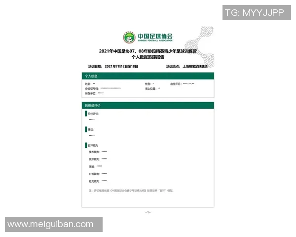 球员数据统计报告