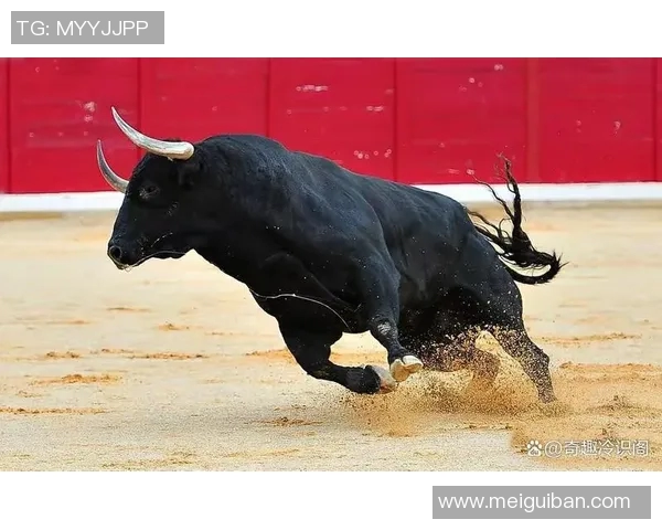 你知道的公牛远不止牛角和力量：揭秘十大鲜为人知的冷知识